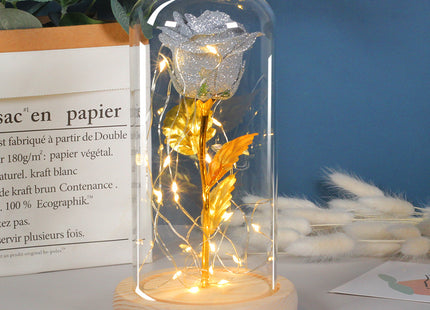 Mothers Day Gift Enchanted Forever Rose Flower In Glass LED Light Home Decoration