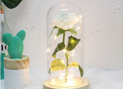 Mothers Day Gift Enchanted Forever Rose Flower In Glass LED Light Home Decoration